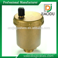 Brass Air Vent Valve